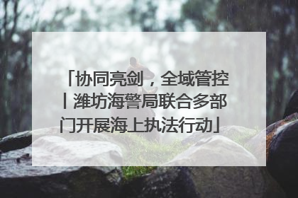协同亮剑，全域管控丨潍坊海警局联合多部门开展海上执法行动