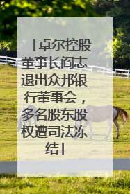 卓尔控股董事长阎志退出众邦银行董事会，多名股东股权遭司法冻结