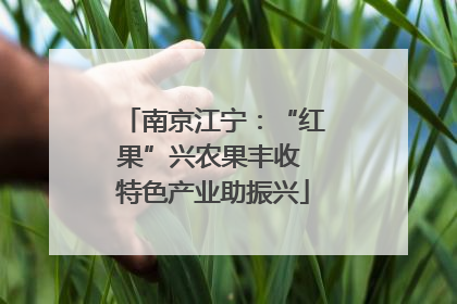 南京江宁：“红果”兴农果丰收 特色产业助振兴
