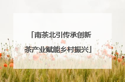 南茶北引传承创新 茶产业赋能乡村振兴