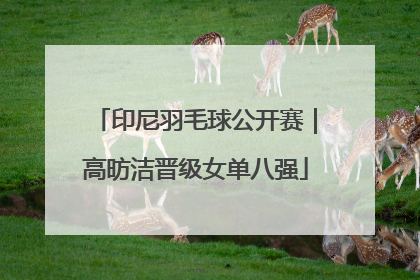 印尼羽毛球公开赛｜高昉洁晋级女单八强