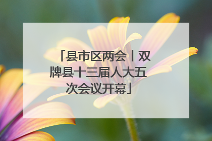 县市区两会丨双牌县十三届人大五次会议开幕
