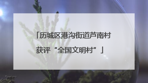 历城区港沟街道芦南村获评“全国文明村”