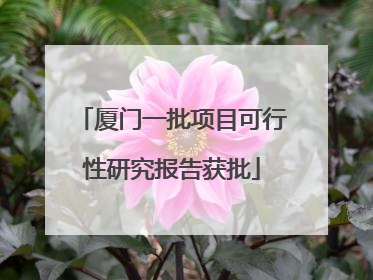 厦门一批项目可行性研究报告获批