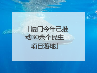 厦门今年已推动30余个民生项目落地
