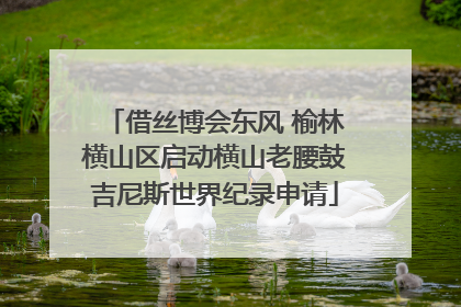 借丝博会东风 榆林横山区启动横山老腰鼓吉尼斯世界纪录申请