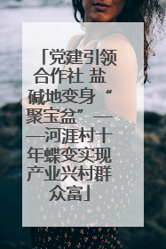 党建引领合作社 盐碱地变身“聚宝盆”——河涯村十年蝶变实现产业兴村群众富