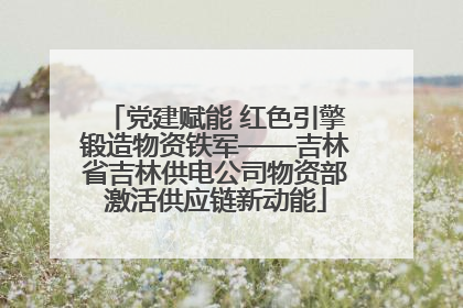 党建赋能 红色引擎锻造物资铁军——吉林省吉林供电公司物资部激活供应链新动能