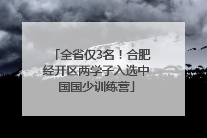 全省仅3名！合肥经开区两学子入选中国国少训练营