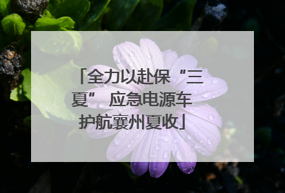 全力以赴保“三夏” 应急电源车护航襄州夏收