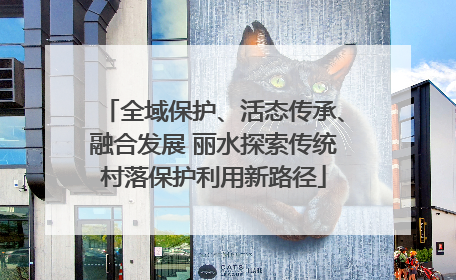 全域保护、活态传承、融合发展 丽水探索传统村落保护利用新路径