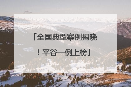 全国典型案例揭晓！平谷一例上榜