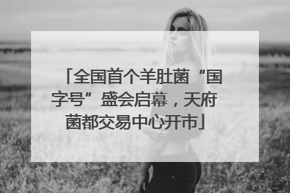 全国首个羊肚菌“国字号”盛会启幕，天府菌都交易中心开市