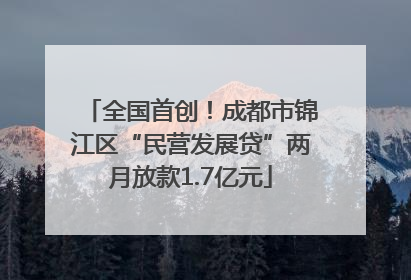 全国首创！成都市锦江区“民营发展贷”两月放款1.7亿元