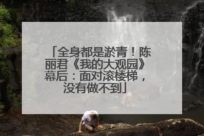 全身都是淤青！陈丽君《我的大观园》幕后：面对滚楼梯，没有做不到