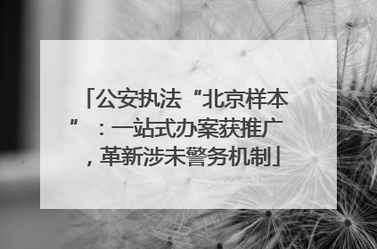 公安执法“北京样本”：一站式办案获推广，革新涉未警务机制