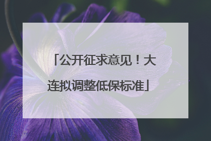 公开征求意见!大连拟调整低保标准