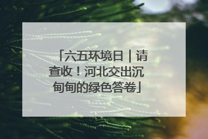 六五环境日｜请查收！河北交出沉甸甸的绿色答卷