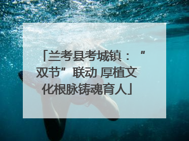 兰考县考城镇：“双节”联动 厚植文化根脉铸魂育人