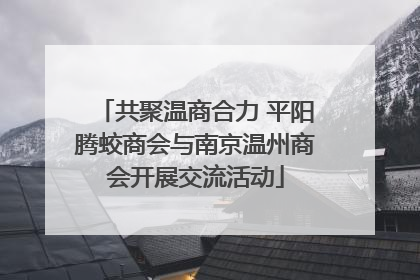 共聚温商合力 平阳腾蛟商会与南京温州商会开展交流活动