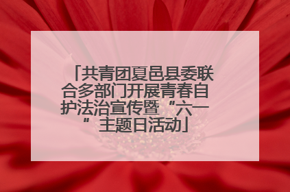 共青团夏邑县委联合多部门开展青春自护法治宣传暨“六一”主题日活动