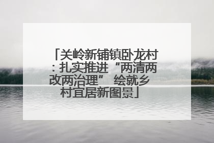 关岭新铺镇卧龙村：扎实推进“两清两改两治理” 绘就乡村宜居新图景
