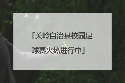 关岭自治县校园足球赛火热进行中