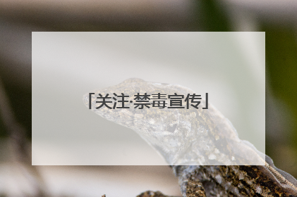 关注·禁毒宣传