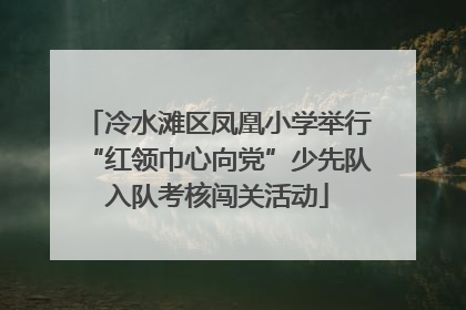 冷水滩区凤凰小学举行“红领巾心向党”少先队入队考核闯关活动