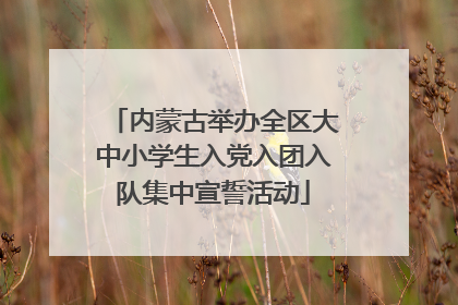 内蒙古举办全区大中小学生入党入团入队集中宣誓活动