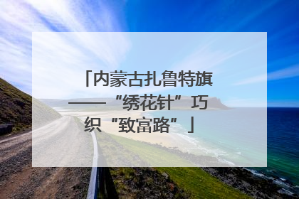 内蒙古扎鲁特旗——“绣花针”巧织“致富路”