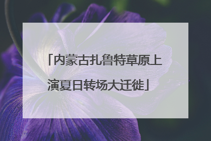 内蒙古扎鲁特草原上演夏日转场大迁徙