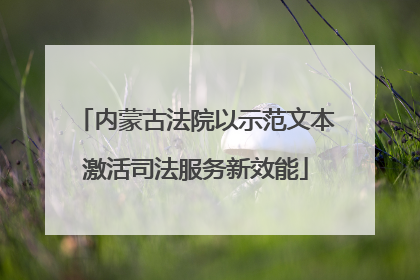 内蒙古法院以示范文本激活司法服务新效能