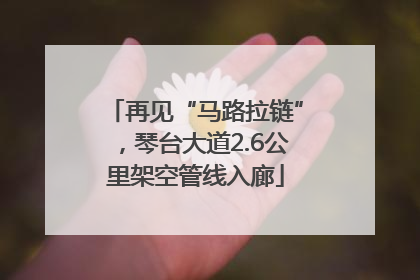 再见“马路拉链”，琴台大道2.6公里架空管线入廊
