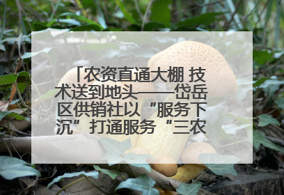 农资直通大棚 技术送到地头——岱岳区供销社以“服务下沉”打通服务“三农”最后一公里