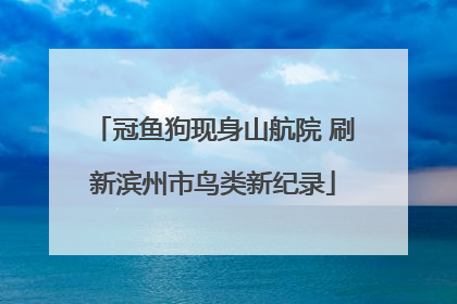 冠鱼狗现身山航院 刷新滨州市鸟类新纪录