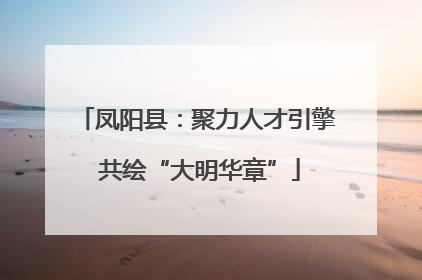 凤阳县：聚力人才引擎 共绘“大明华章”