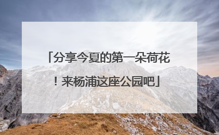 分享今夏的第一朵荷花！来杨浦这座公园吧