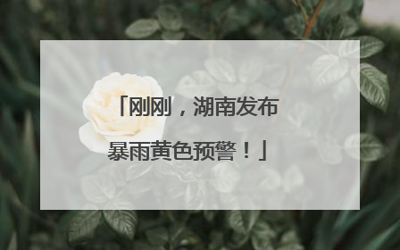 刚刚，湖南发布暴雨黄色预警！