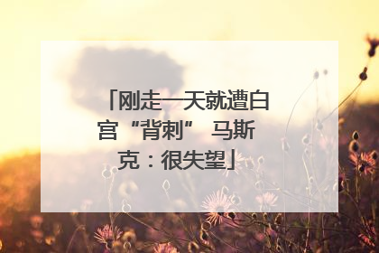 刚走一天就遭白宫“背刺” 马斯克：很失望