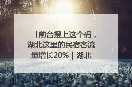前台摆上这个码，湖北这里的民宿客流量增长20%｜湖北市场监管所的故事