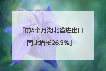 前5个月湖北省进出口同比增长26.9%