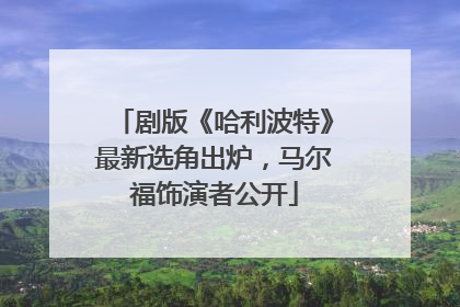 剧版《哈利波特》最新选角出炉，马尔福饰演者公开