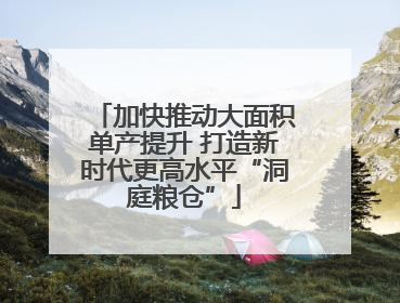 加快推动大面积单产提升 打造新时代更高水平“洞庭粮仓”