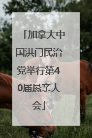 加拿大中国洪门民治党举行第40届恳亲大会
