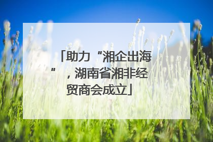 助力“湘企出海”，湖南省湘非经贸商会成立