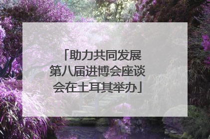 助力共同发展 第八届进博会座谈会在土耳其举办