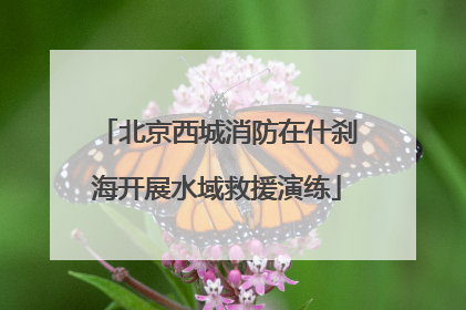 北京西城消防在什刹海开展水域救援演练