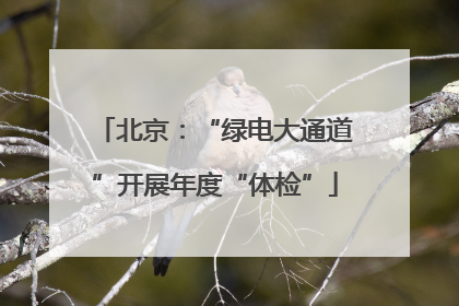 北京：“绿电大通道”开展年度“体检”