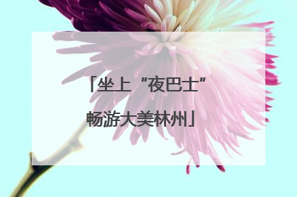坐上“夜巴士” 畅游大美林州